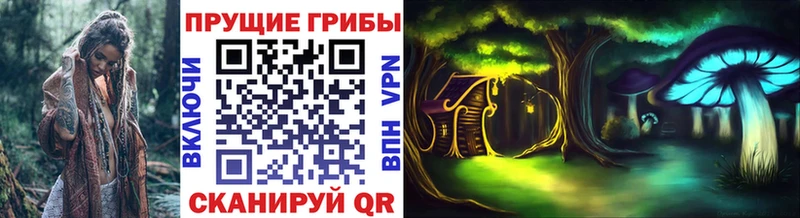купить наркотик  сайты даркнета как зайти  Псилоцибиновые грибы GOLDEN TEACHER  Борисоглебск  OMG  